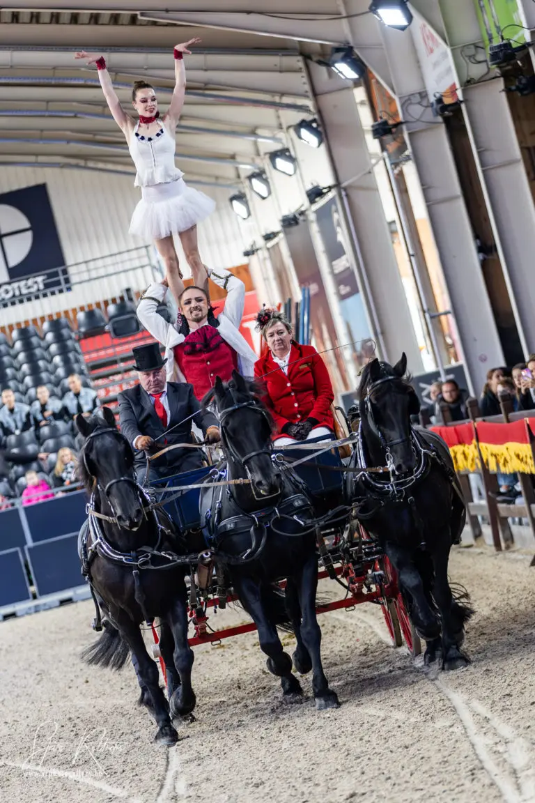 MovingFireArtsHorseManiaAcro-28